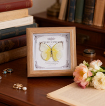 �w�۵�������˱���Ʒ��Ƭ���߼��й����ͶY���b�����