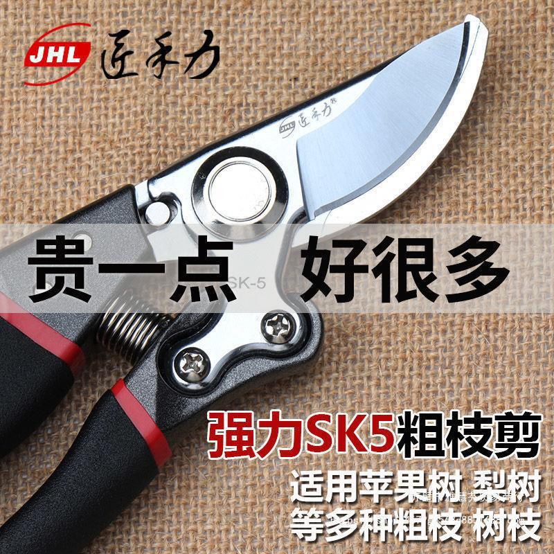 果树剪粗枝剪树枝修枝剪刀苹果树梨树桃子树专业园林园丁剪子直销