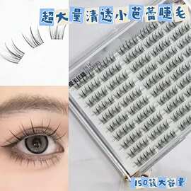 超大量粘胶款清透小芭蕾假睫毛无梗自然卷翘纤长佩戴舒适轻盈无感