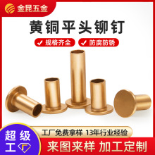 定制黄铜半空心铆钉 紧固件平头窝钉 紫红铜沉头对敲中空柳钉