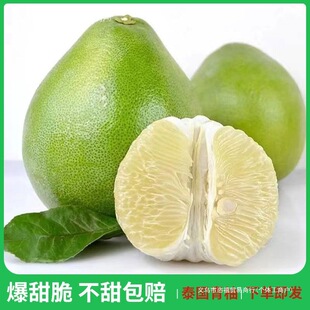 ̩�������M�����rˮ�����Ӷ�֭���ְ��]�Ĺ����r�ϙ������������