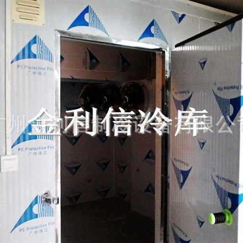 肉类食品冷库聚胺脂冷库板广州冻库雪库果蔬冷藏冻肉急冻快速制冷