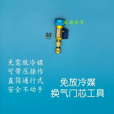 Conditioning Valve Core Removal, valve