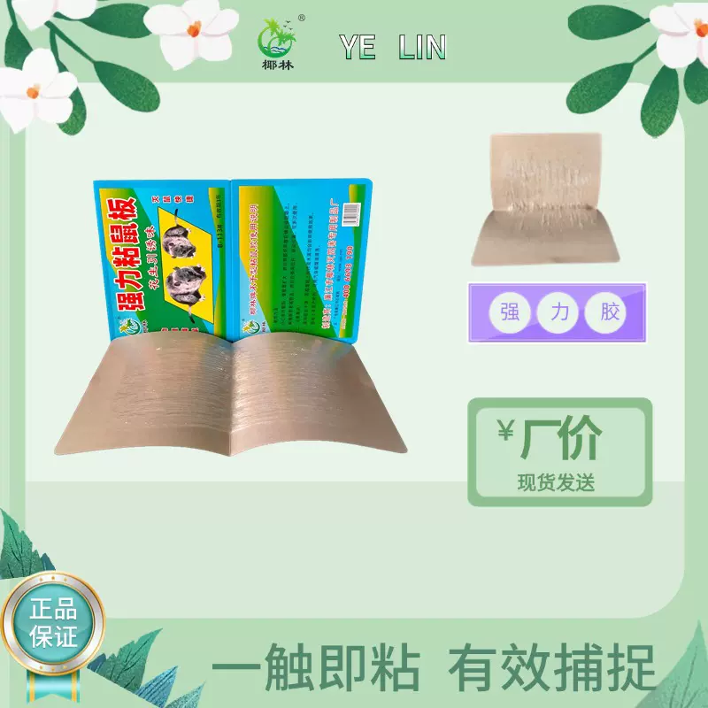 广东湛江椰林批发强力粘鼠板粘鼠胶板老鼠贴粘鼠陷阱捕鼠器灭鼠板