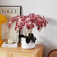 配套先行实景兑现 越秀星科源启打造光明科学城 “好房子” 范本德信体育