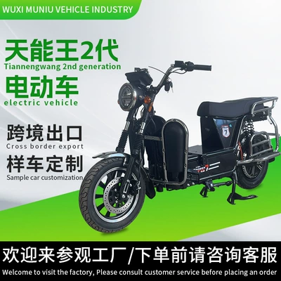 Cross-Border Heavy-Duty Electric Vehicle Export Electric Motorcycle for Express Delivery, Two-Wheeled Mountain Climbing Cargo Carrier, Long-Distance Delivery King, Wholesale (Elektrikli motosikletlər)