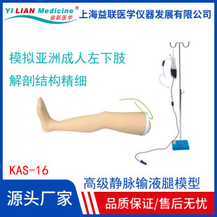 �o�}ݔҺ��ģ�� ��������֫����ݔҺ��ѪӖ����֫ ݔҺ����ģ��