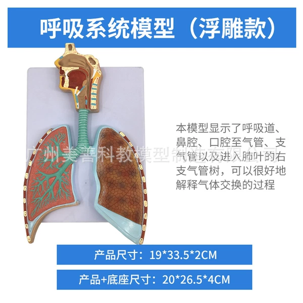 Respiratory relief