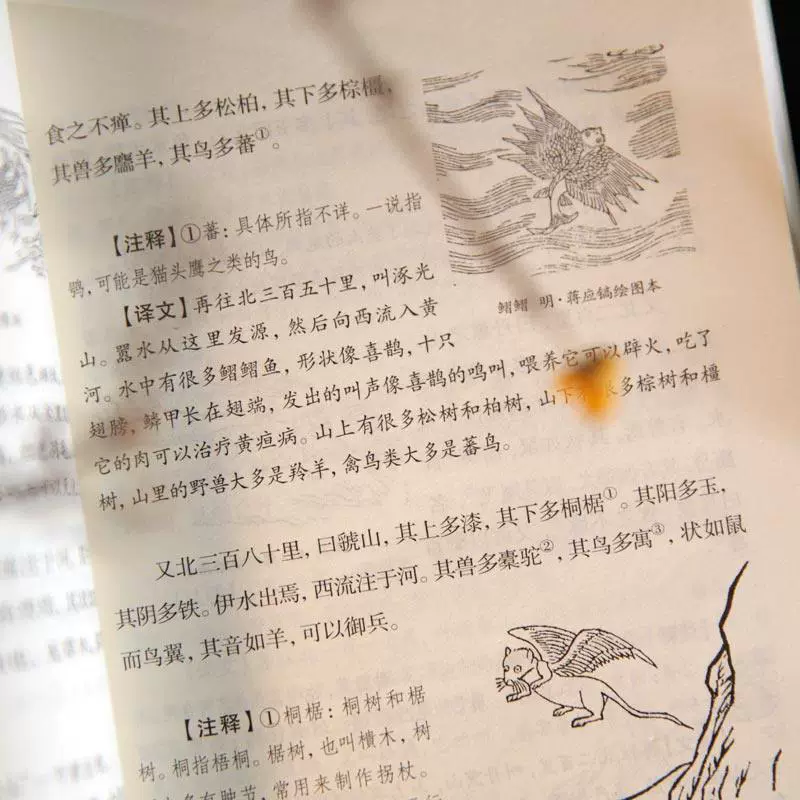 Библиография для чтения в средней школе (под седьмим классом)