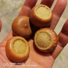 �Ͻ������������l���������ִ�ɢ���ֹ�diy��S��ֱ��؛Դ