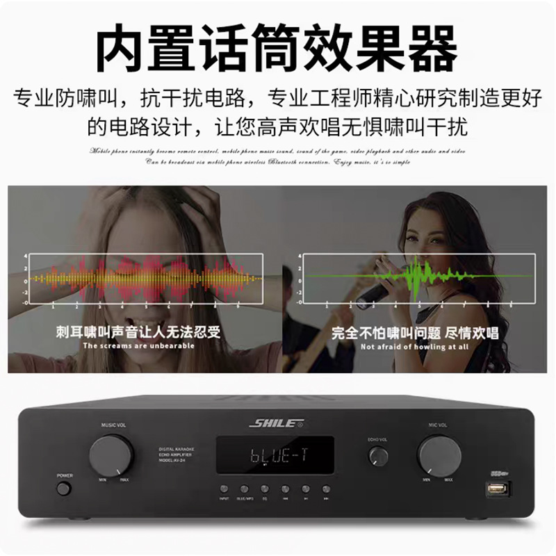 Li Le AV - 24 reunión familiar tienda de doble propósito amplificador de potencia Bluetooth amplificador de sonido de karaoke de fiebre HIFI