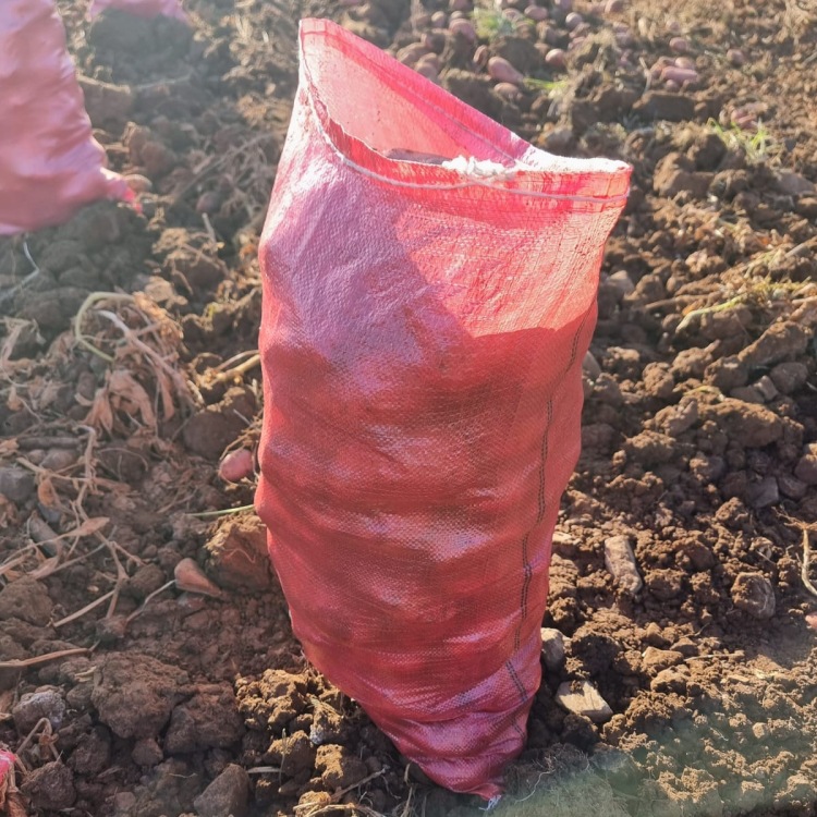 Fabricante de exportación directa calidad América del Sur Rusia Europa especial bolsa de papas bolsa de cebolla 25kg puede perforar