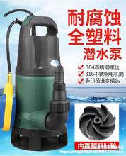 耐腐蚀化工泵耐酸碱塑料泵潜水泵220V家用小型海水泵工业防腐泵