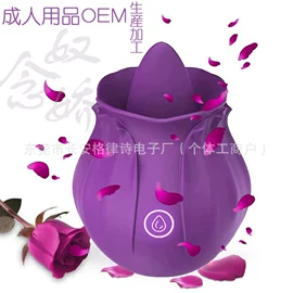 震动棒;情趣跳蛋;后庭用品