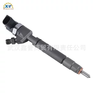 0445110156 A6480700187 common rail injektor dizel mühərriki üçün uyğundur