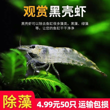 �ښ��r�r���^�p�r�����~��С�r��ˮ�ͻ���ˮ̖�坍�O��ѻ��r����