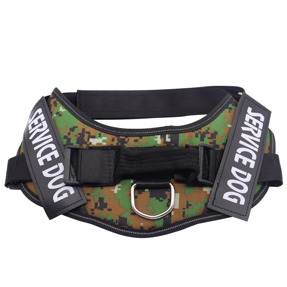 Chest Strap Image 5