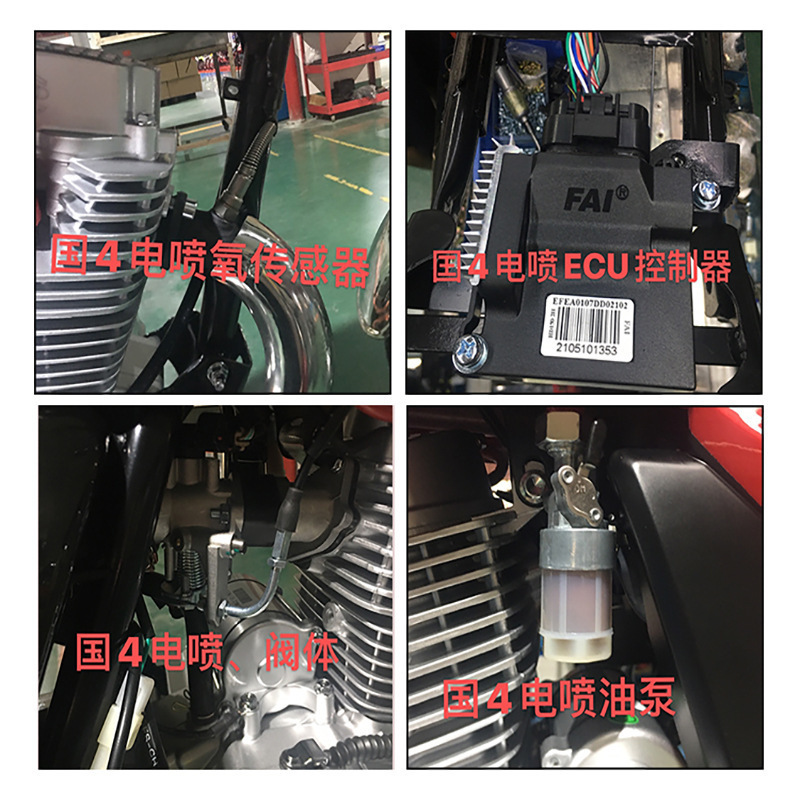LVKA 国四上牌150cc燃油助力摩托车 铃木王载货载人汽油摩托车|undefined