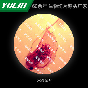 ˮ���bƬ��У�t�WԺУ�ýM������ʯϞ��Ƭ�˱��@΢�R