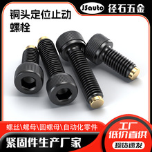 CBCP�̶�TDB06���_��ײ�ݽz ��Wƽ̨�{���~�^��~ֹ�Ӷ�λ��˨