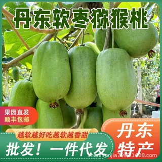 丹东软枣猕猴桃东北奇异莓无毛绿心奇异果当季新鲜孕妇水果整