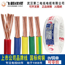 hS늾BV16 10ƽιӲ~ܛM