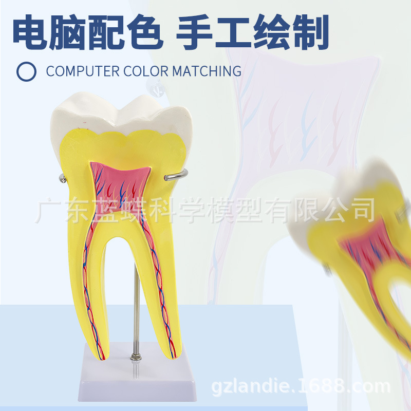 ����ĥ������ģ�� �׶�԰�̾�ҽѧ��ѧ��������ͨ�� �����֧��