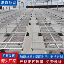 ����\�̶��紲�߲˻��ܷNֲ�紲�WƬ������������̶��紲�W