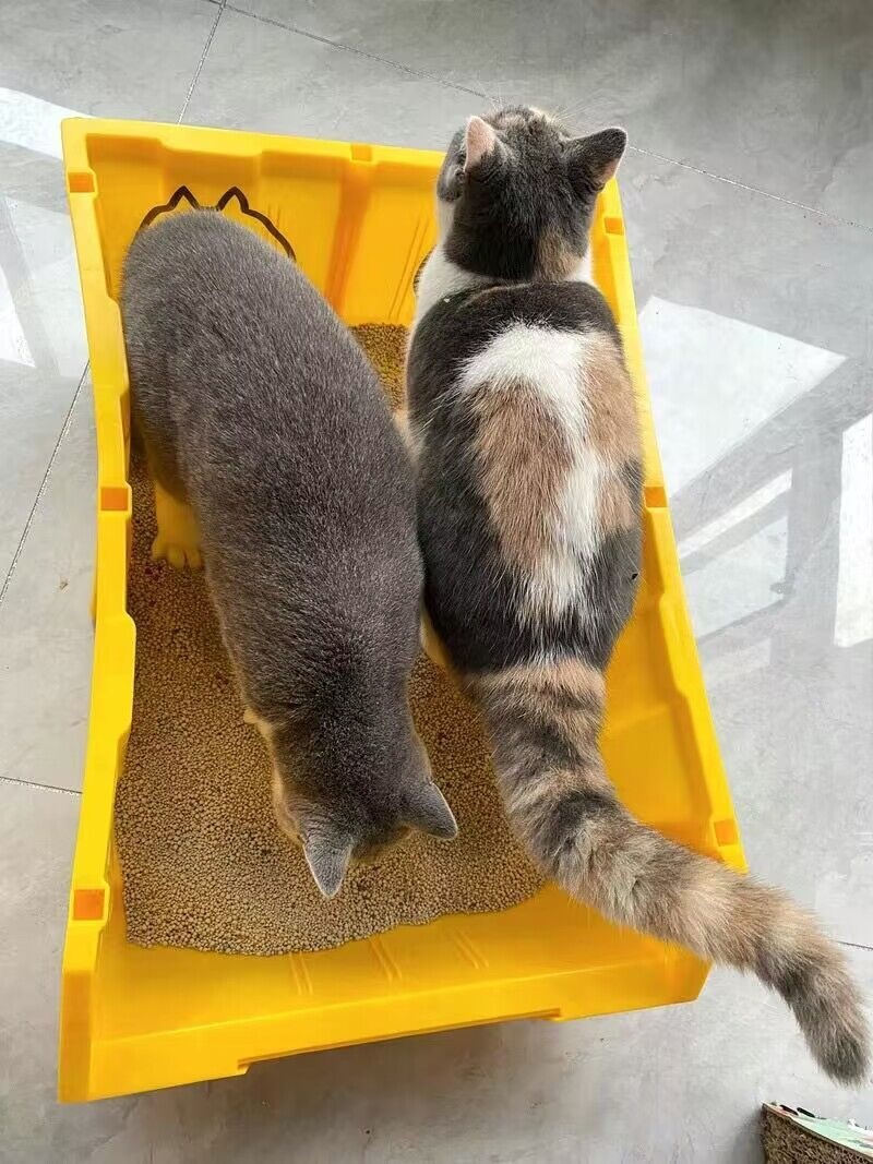 商品图