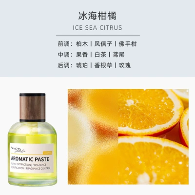 Fragrance Ornaments Supplement Liquid Car – Perfplant seat - ice-sea-citrus