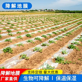 农用薄膜;降解薄膜;建筑膜