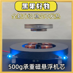 [磁気浮上ムーブメント] ブラックフルーツ磁気浮上 500 グラム大型耐荷重磁気浮上装飾品 DIY 磁気浮上モジュール