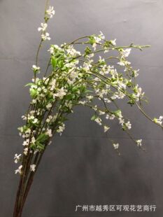 ����С֧ѩ���ذ�廨�҃Ⱥû���ֲ��ľ�괺�����y���껨�b[��