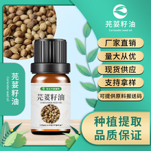 ���l���� ܾݴ���� CAS8008-52-4 Coriander Seed Oil ���yƷԭ��