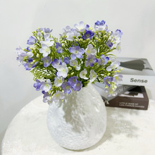  ɽ÷ c ҾӾƵ軨b 廨