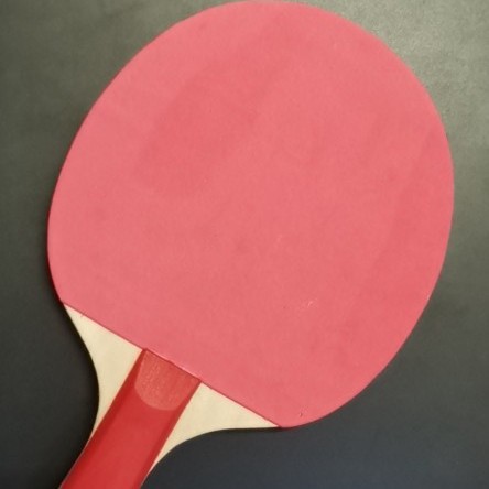Trainer Racket Plastic Handle Wooden Bottom Racket Double-Sided Sponge Racket Beginner Sports Racket