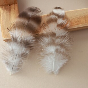 ���Sֱ�N�J����ë��ȻС��ë5-10cmҰ�uëdiy�Ʒ������b�o��