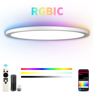 Cross-Border Smart Backlight Rgbic Colorful Horse Racing Ceiling Lamp Ultra-Thin Adjustable Alexa Voice Bedroom Living Room Lamp