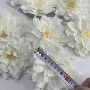 �羳���Q12CMֱ������ĵ�����^�X߅��߅���콁���^����10��һ��