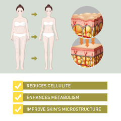 North Moon Body Shaping Capsules for Firming Leg and Waist Skin, Abdominal Shaping and Body Contouring Capsules