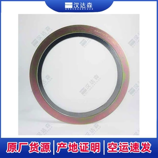 德国泰利Teadit金属缠绕垫片化工管道压力容器法兰密封垫