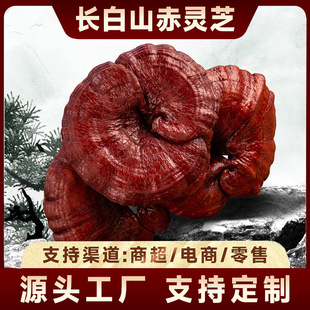 便携高清化妆镜