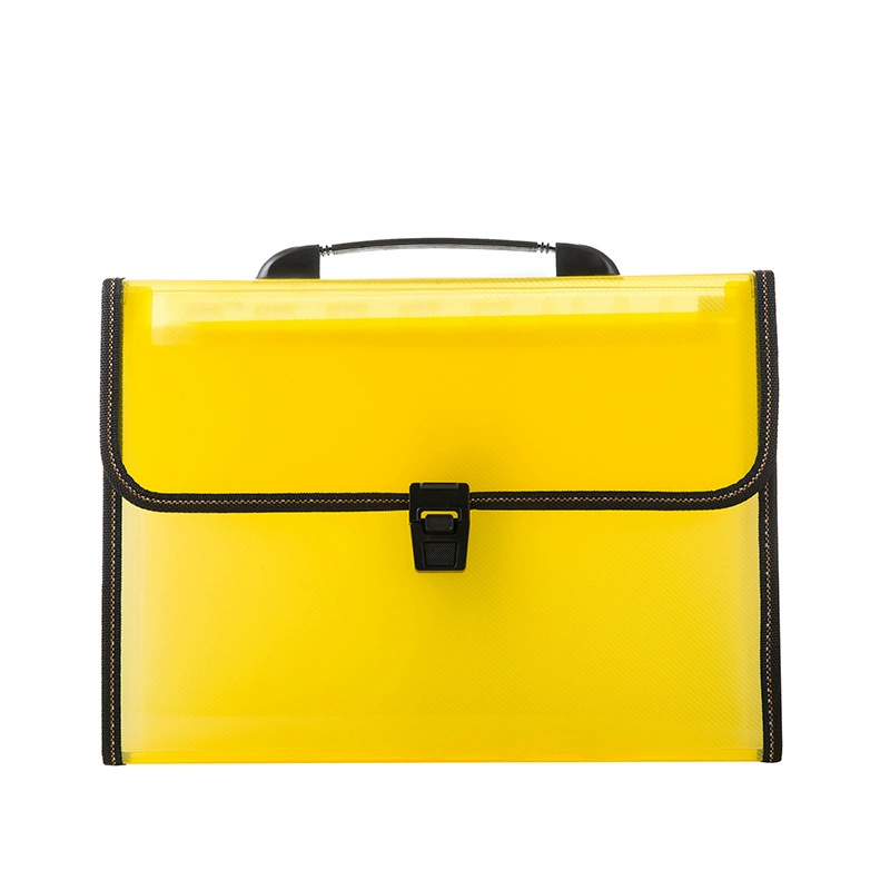 Organ, multilayer capacious folder, storage system for documents, organizer bag