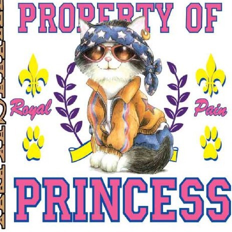 商城烫画 服装烫画 A级烫画工业印花 pet热转印烫图 游戏动漫烫画