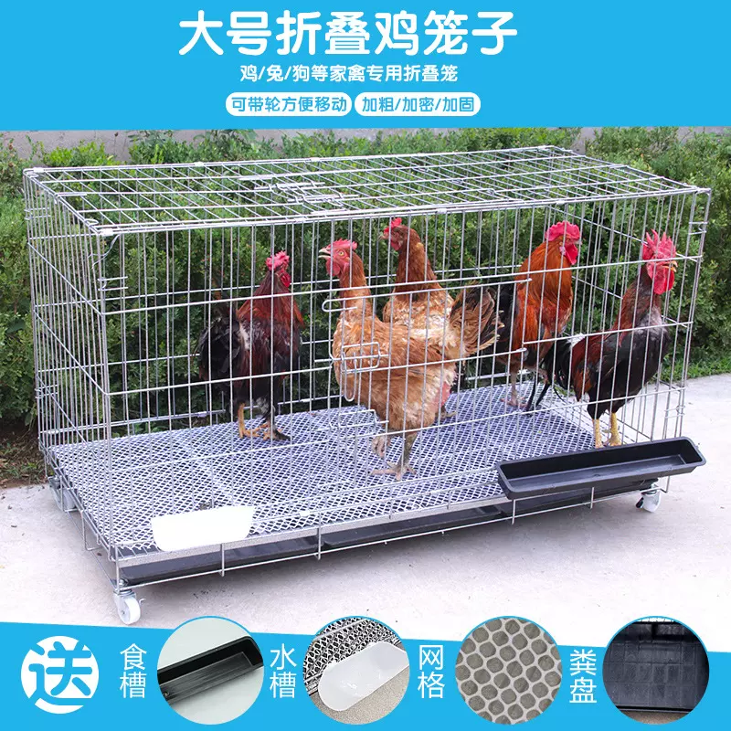 鸡圈鸡舍家用大号户外自动下蛋鸡笼大型养植鸡屋鸡棚不锈钢超大