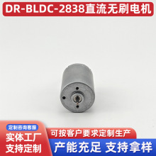 微型电钻研磨机电动自行车摩托车用电机DR-BLDC-2838直流无刷电机