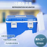 One bead bracelet, handheld freezer, sample