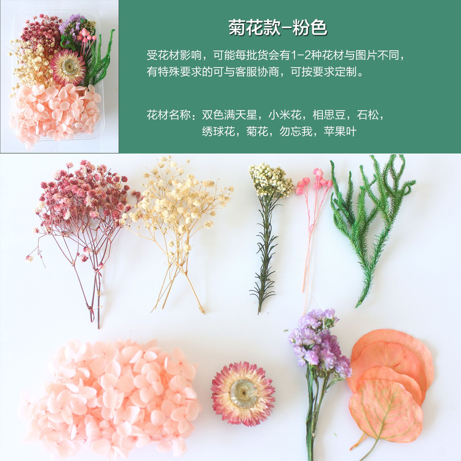 菊花款-粉色.jpg