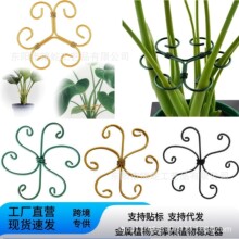 �羳ֲ��ɏ���F�z�Gֲ�����ܷ���֧�ܗU֧�μ��Fˇֲ��֧�β廨��