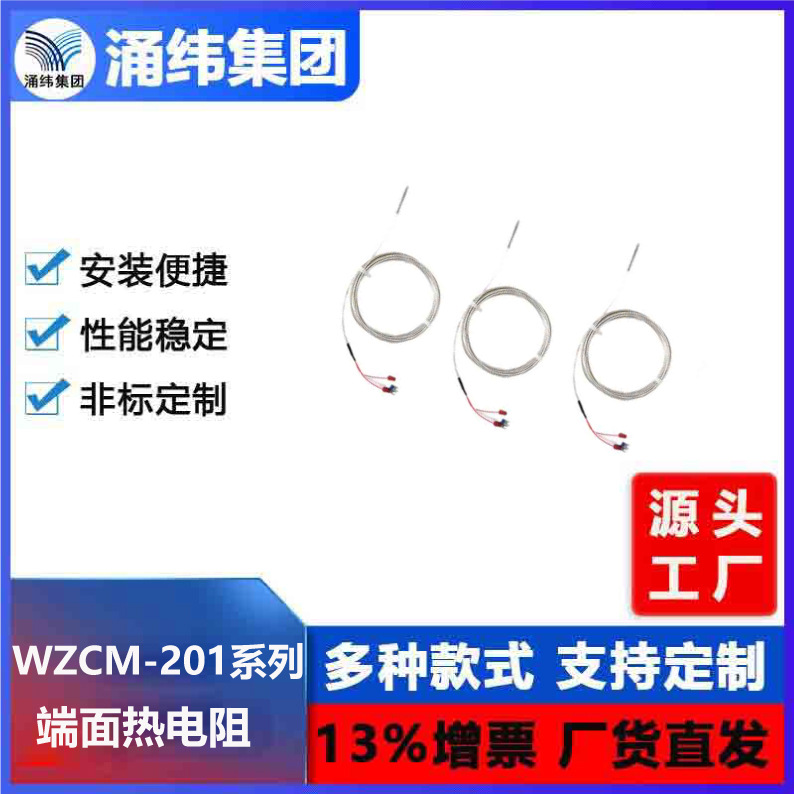 涌纬集团--端面热电阻  WZCM-201